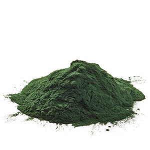 Spirulina